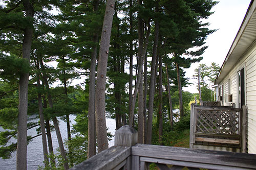 View from Deck
